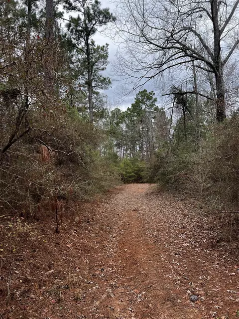 tbd County Road 207, Centerville, TX 75833 photo 4