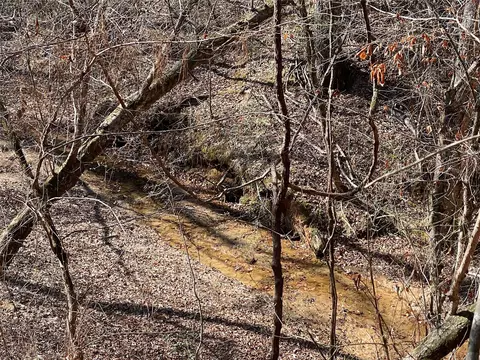 tbd County Road 207, Centerville, TX 75833 photo 7