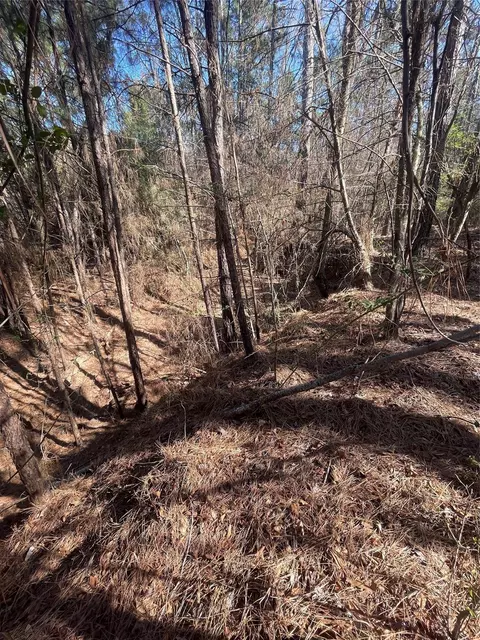 tbd County Road 207, Centerville, TX 75833 photo 9