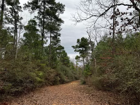 tbd County Road 207, Centerville, TX 75833 photo 3