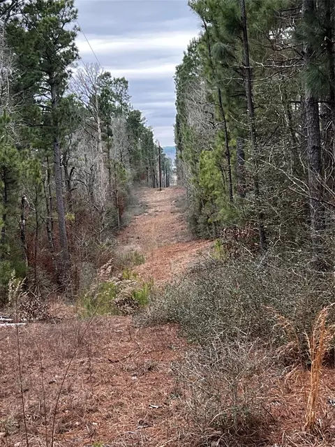 tbd County Road 207, Centerville, TX 75833 photo 5