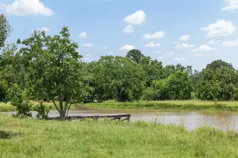 View/Area - 32675 Fm 1488 Rd, Hempstead, TX 77445 photo 11 of 16