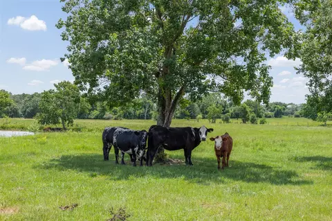 Other - 32675 Fm 1488 Rd, Hempstead, TX 77445 photo 5 of 15
