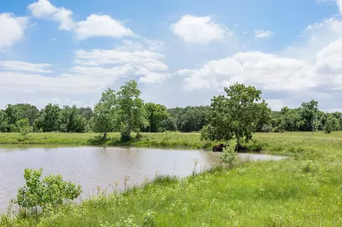 View/Area - 32675 Fm 1488 Rd, Hempstead, TX 77445 photo 10 of 16