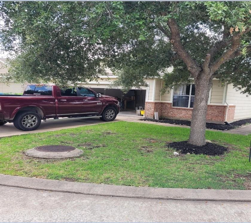 19115 Wild Yaupon Dr  