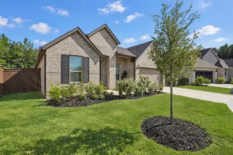 Exterior - 29025 Red Loop Dr, New Caney, TX 77357 photo 3 of 8