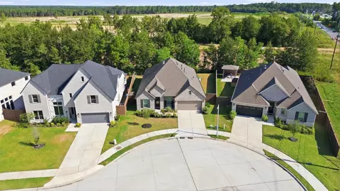 View/Area - 29025 Red Loop Dr, New Caney, TX 77357 photo 1 of 8
