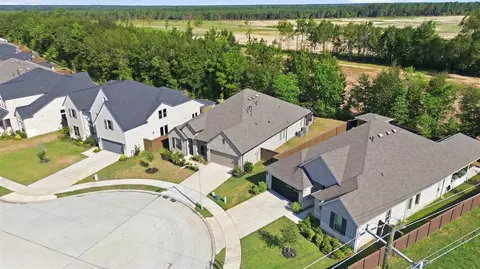 View/Area - 29025 Red Loop Dr, New Caney, TX 77357 photo 2 of 8