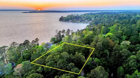 252 Forest Ridge Dr, Livingston, TX 77351