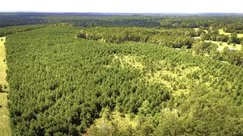 tbd Stutts Hill Rd, Livingston, TX 77351