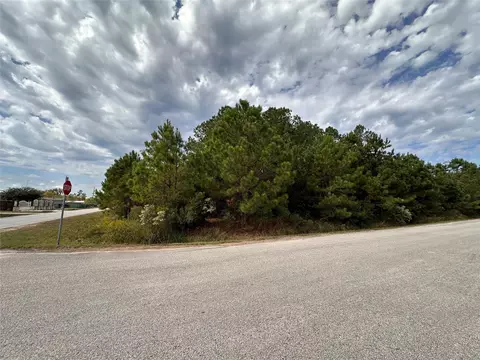 3116 County Road 3479b, Cleveland, TX 77327