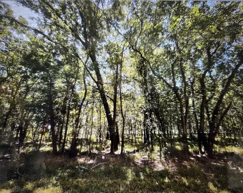 lot822 Eskimo Lane Path, Angleton, TX 77515 photo 3