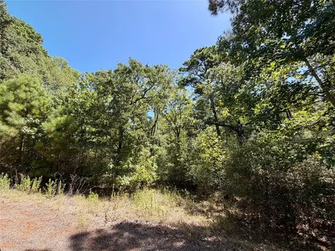tbd Lori Dr, Trinity, TX 75862 photo 3