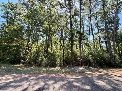 tbd Lori Dr, Trinity, TX 75862 photo 5