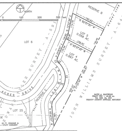 tbd Lori Dr, Trinity, TX 75862 photo 7