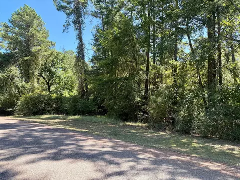 tbd Lori Dr, Trinity, TX 75862 photo 6