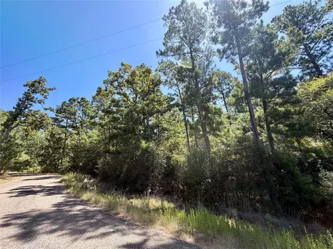 tbd Lori Dr, Trinity, TX 75862 photo 2
