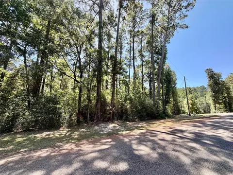tbd Lori Dr, Trinity, TX 75862 photo 4