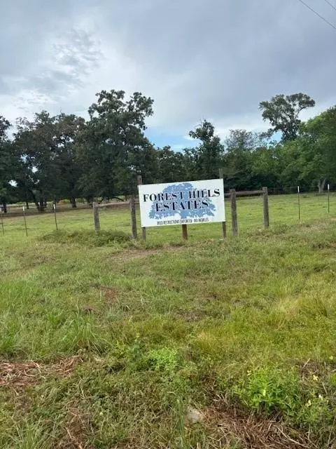 26050 Forest Hills Ln, Waller, TX 77484