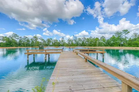 8214 Fm 350 N, Livingston, TX 77351