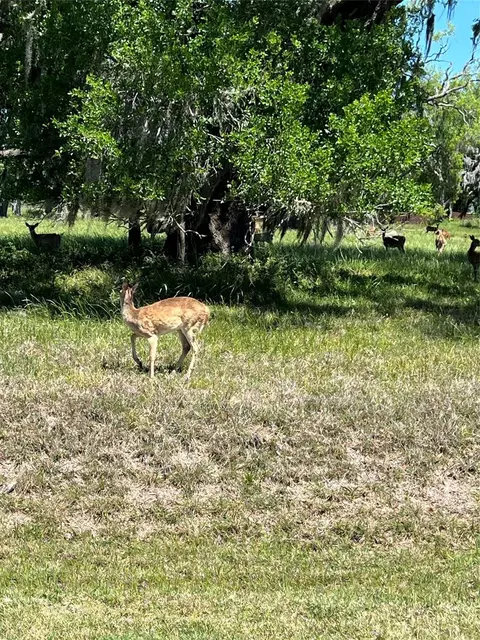 131 Hidden Horse Trl, Angleton, TX 77515
