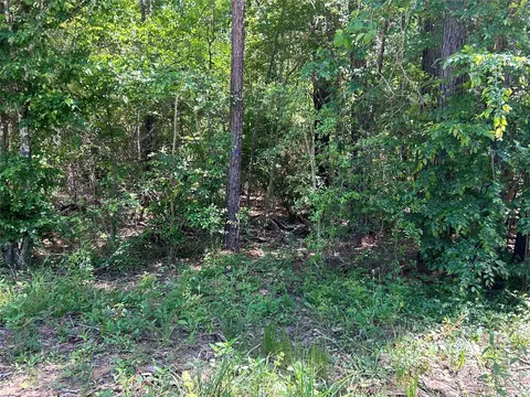 0 Redwood Ln, Montgomery, TX 77356