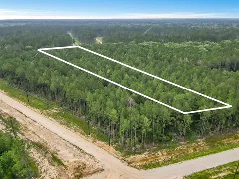 6773 Black Cat Rd, Sour Lake, TX 77659
