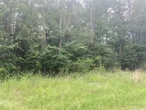 0 Hideaway Dr, Trinity, TX 75862 photo 3