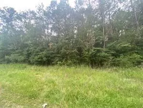 0 Hideaway Dr, Trinity, TX 75862 photo 2