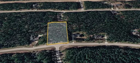 47 Brahman Ln, New Waverly, TX 77358