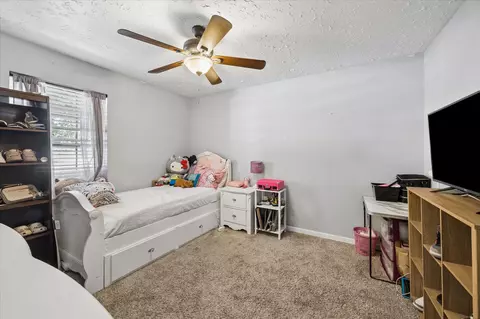 Other - 23115 Stepinwolf Ln, Spring, TX 77373 photo 3 of 4