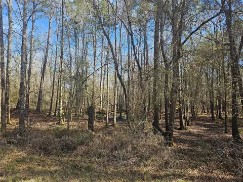0 Red Rd, Shepherd, TX 77371 photo 5