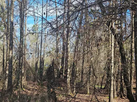 0 Red Rd, Shepherd, TX 77371 photo 2
