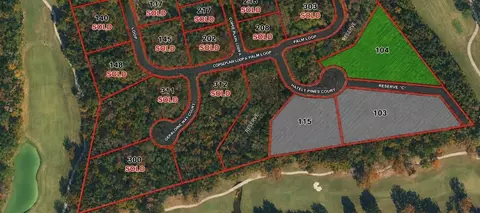 104 Chateau Pines Ct, Montgomery, TX 77316