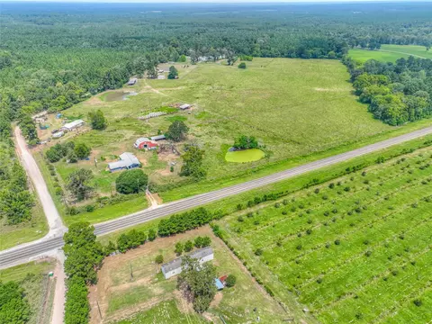 View/Area - 6982 S State Highway 94, Trinity, TX 75862 photo 5 of 5