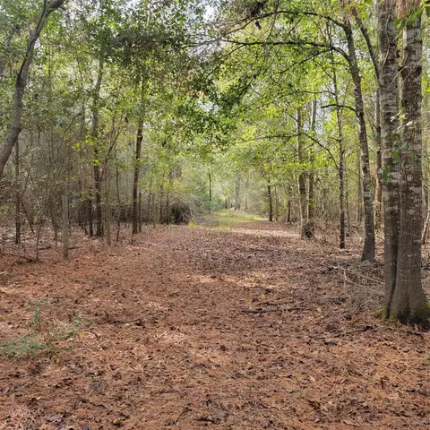 27055 Sandy Crk, Magnolia, TX 77355