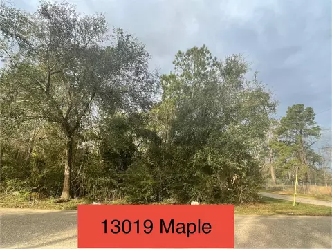 13019 Maple St, Crosby, TX 77532