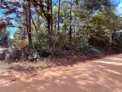 0 Warpath Dr, Livingston, TX 77351