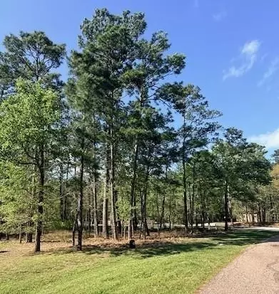 141 Wentworth Ln, Coldspring, TX 77331