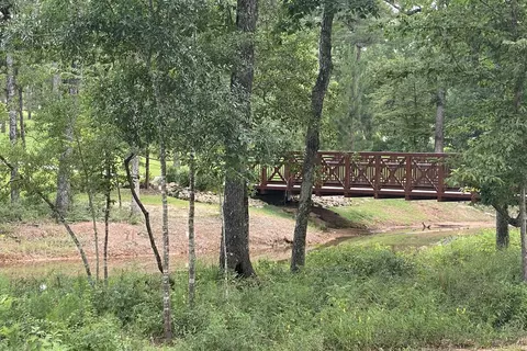 Other - 116 Jubilee Meadow Dr, Willis, TX 77318 photo 7 of 7