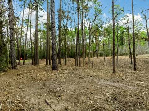lot11 Mayhaw Ln, Plantersville, TX 77363