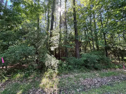 16 Forrest Holw, Trinity, TX 75862
