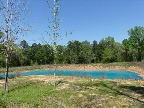 10994 Kittys Ln, Conroe, TX 77303 photo 19