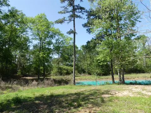 10994 Kittys Ln, Conroe, TX 77303 photo 20