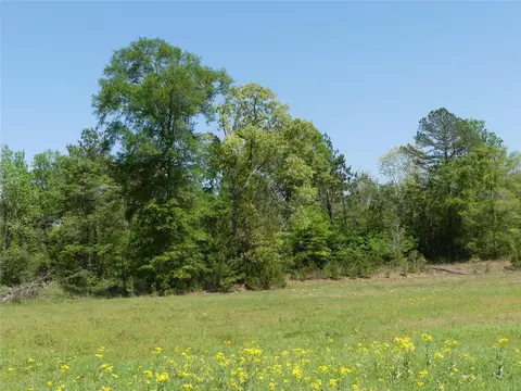10994 Kittys Ln, Conroe, TX 77303 photo 24