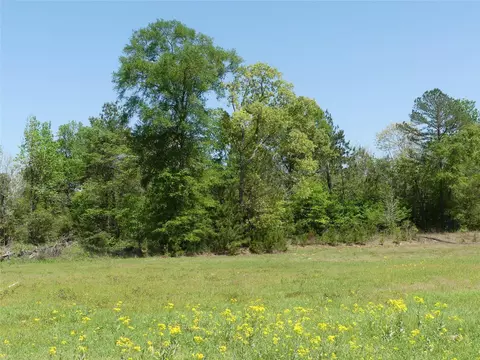 10994 Kittys Ln, Conroe, TX 77303 photo 25