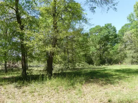 10994 Kittys Ln, Conroe, TX 77303 photo 10