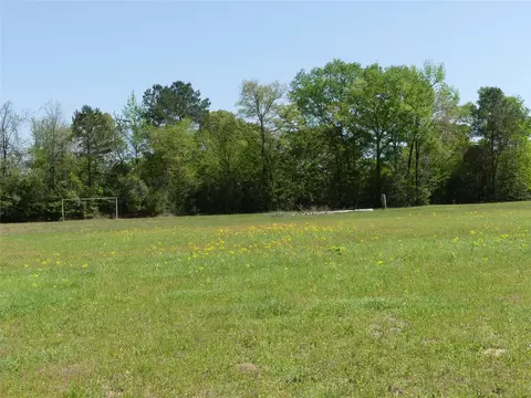 10994 Kittys Ln, Conroe, TX 77303 photo 23