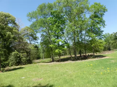 10994 Kittys Ln, Conroe, TX 77303 photo 13