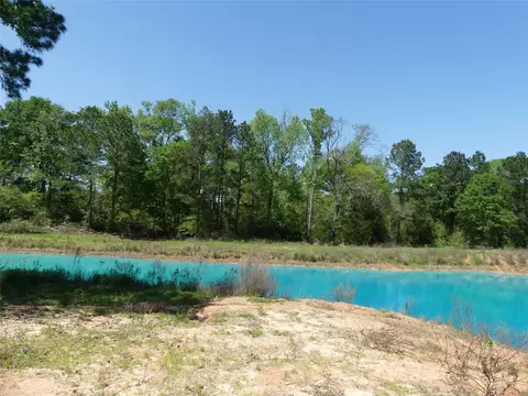 10994 Kittys Ln, Conroe, TX 77303 photo 22
